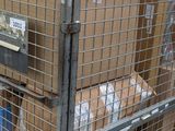 a metal cage with boxes on top of it in a warehouse