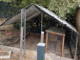 un poulailler dans le jardin, entouré d'une clôture
