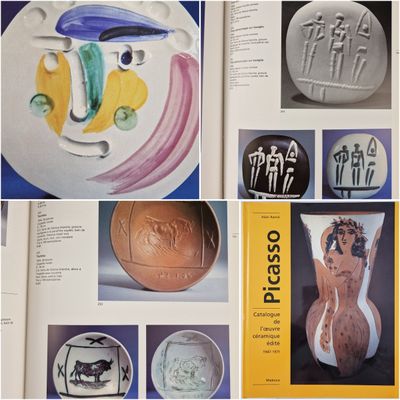 Ce livre présente de nombreuses photos de poteries très variées.