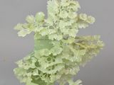 chinese carved jade figurine of flowers and leaves on a stand