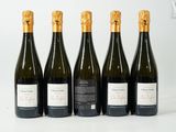 six bouteilles de vin sont alignées sur une surface blanche