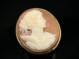 an image of a woman ' s profile is shown in a cameo cameo broochle