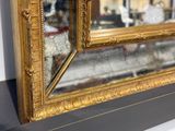 un chien assis devant un miroir