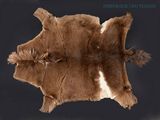 a brown and white animal skin on a black background