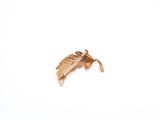 a leaf that is laying on a white surface