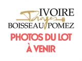 Photo 1/1 du lot