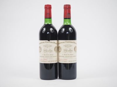 deux bouteilles de vin rouge posées l'une à côté de l'autre sur une surface blanche