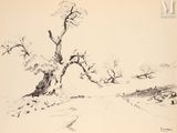 dessin représentant un arbre au milieu d'un champ, sans feuilles