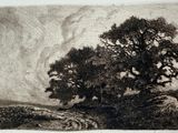an image of a black and white drawing of a tree