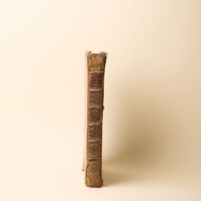 un vieux livre posé sur une table, à côté d'un pinceau