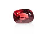 une épine rouge épine épine épine épine épine épine épine épine épine épine épine épine épine épine épine épine épine épine épine épine épine épine épine épine épine épine épine épine épine épine épine épine épine épine épine épine épine épine épine épine épine épine épine épine épine épine épine épine épine épine épine épine épine épine épine épine épine épine épine épine épine épine épine épine épine épine épine épine épine épine épine épine épine épine épine épine épine épine