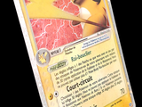 une photo d'une carte Pokémon sur laquelle figure un Pikachu