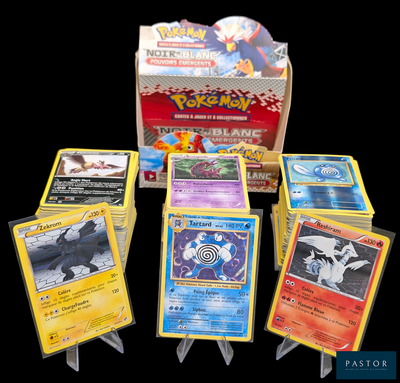 Plusieurs cartes Pokémon se trouvent dans une boîte sur fond noir.
