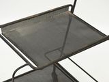 an image of a metal cart with a mesh tray on it
