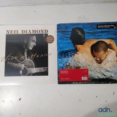 two cd ' s on a refrigerator with a man playing a guitar