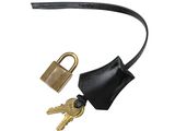 a close up of two keys and a padlock on a white background