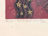 a picture of a picture of a flag with stars on it