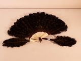 un éventail noir orné de plumes sur un fond blanc
