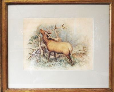 painting of an elk with antlers in a frame on a wall