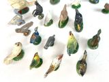 a lot of birds that are sitting on a table