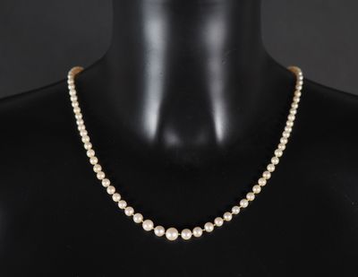 Collier de perles blanches disposées en chute. Chainette de …
