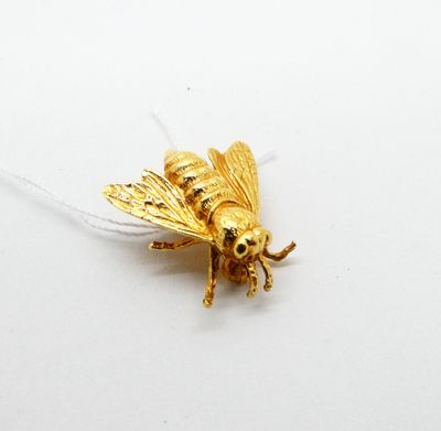 un insecte doré posé sur une surface blanche