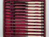 six knives in a case with a red velvet lining