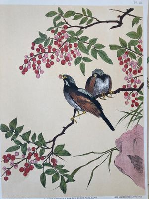 two birds sitting on a branch of a tree with berries