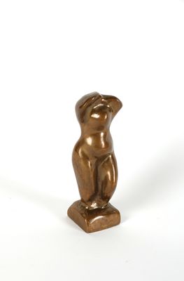 a bronze statue of a bird on a white surface