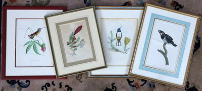 trois photos encadrées d'oiseaux posées sur une table, avec un fond fleuri