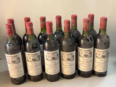 12 bouteilles Château GRANDES MURAILLES 1981 GC Saint Emilio…