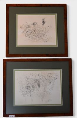 two framed drawings of animals on the wall