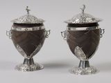 paire d'urnes anciennes en métal argenté avec couvercles, posées sur des socles