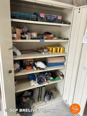 an image of a cupboard with many items in it