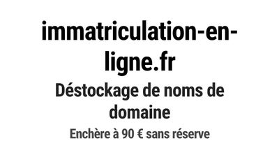 Nom de domaine immatriculation-en-ligne.
