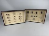 two display cases with various beetles in them on a table