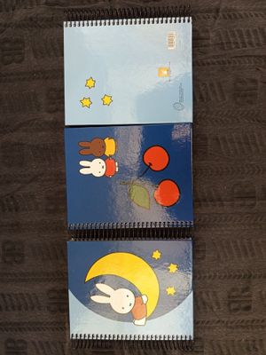 Lot de 360 petits cahiers à spirale de différents modèles