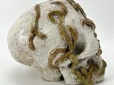a white skull with a snake on it ' s head