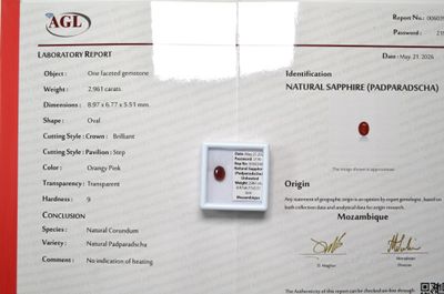 a certificate with a picture of a red apple on it