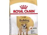 Royal Canin Bulldog Adult : croquettes pour chiens adultes de race Bulldog
