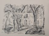 pencil drawing of a house in a wooded area with trees