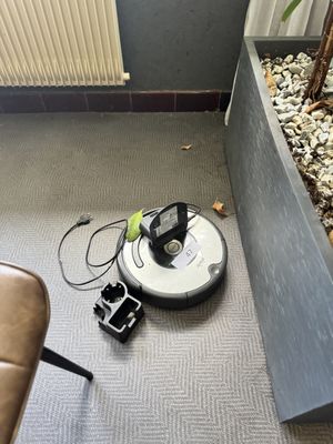 un robot posé par terre à côté d'une plante