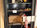 une armoire qui contient tout un tas d'outils