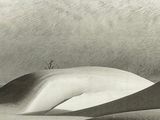 a black and white photo of a person riding a snowboard