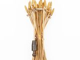an image of a bunch of wheat stalks on a white background