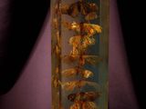 a glass vase with dried flowers in it on a table