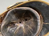 a close up of a hat with a spider on it