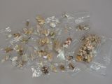 a lot of small shells in a bag on the table