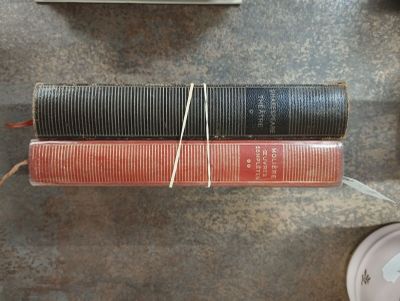 Bibliothèque de la Pléïade, Shakespeare théâtre I et Molière… - Photo 1