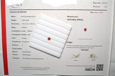 un certificat sur lequel figure l'image d'un point rouge